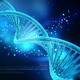 Illustration for article titled Over 90% Of Human DNA May Be Completely Worthless